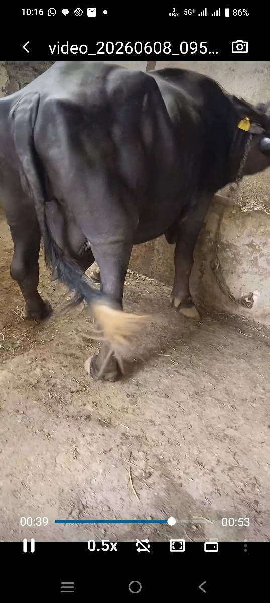 9898487583