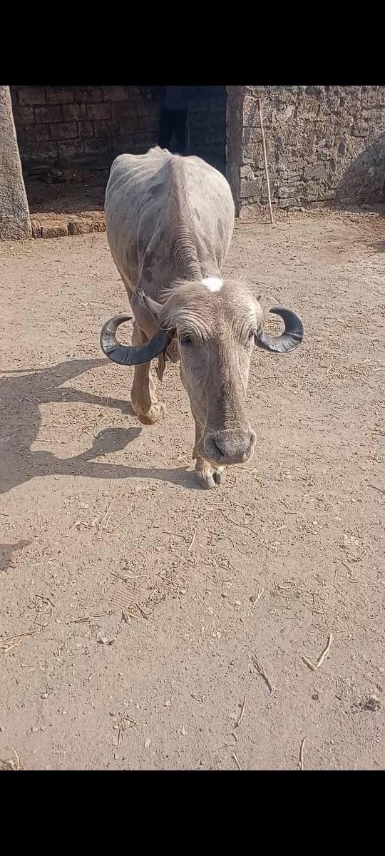 30 હજાર