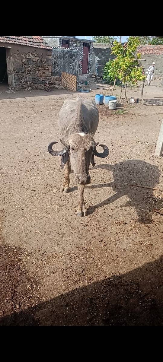 30 હજાર