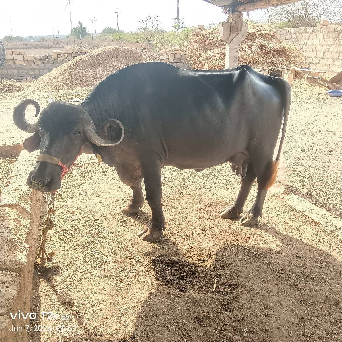 તીજું વેતર