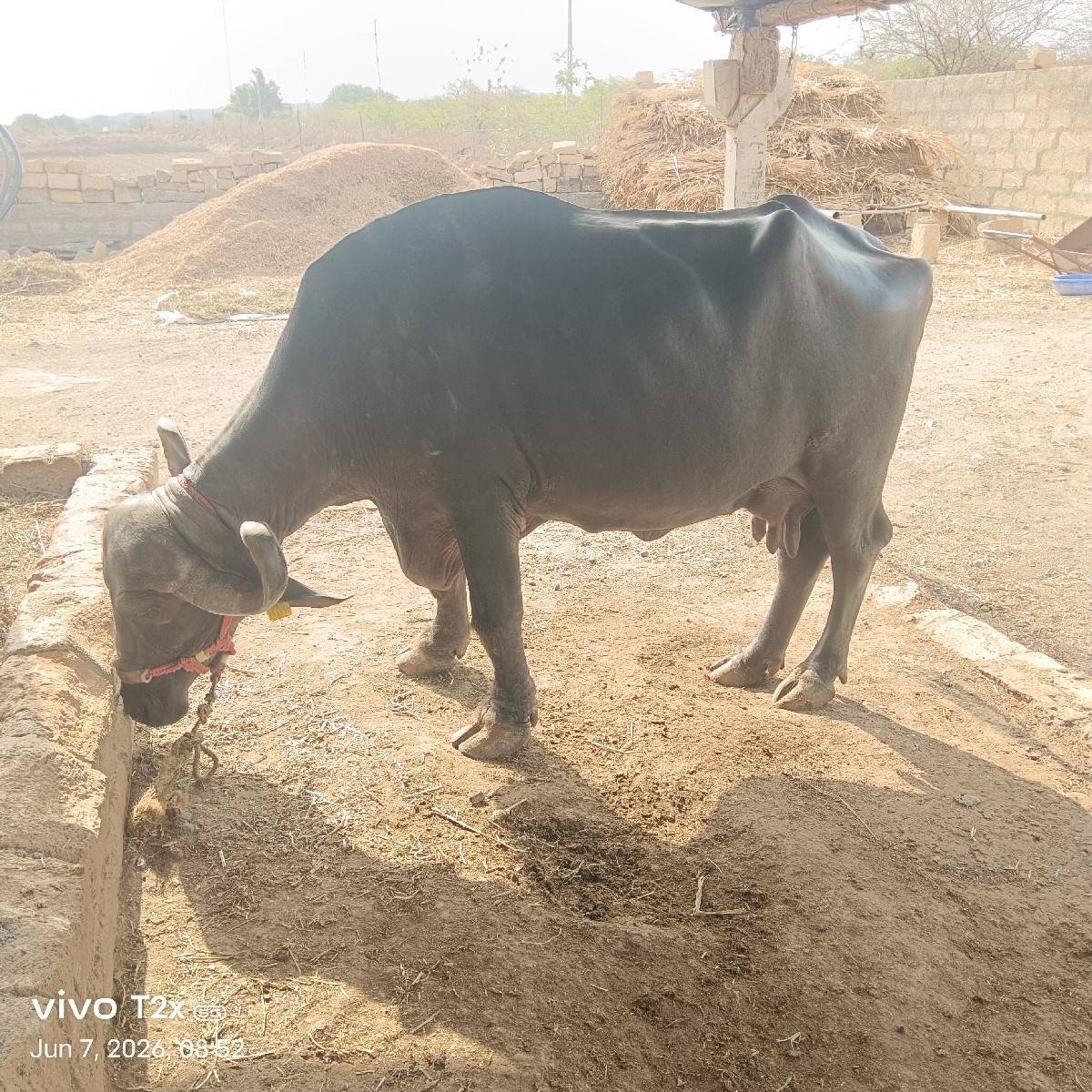 તીજું વેતર