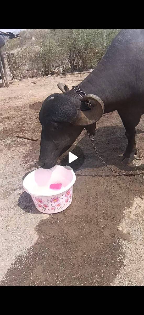 વેચવાની છે