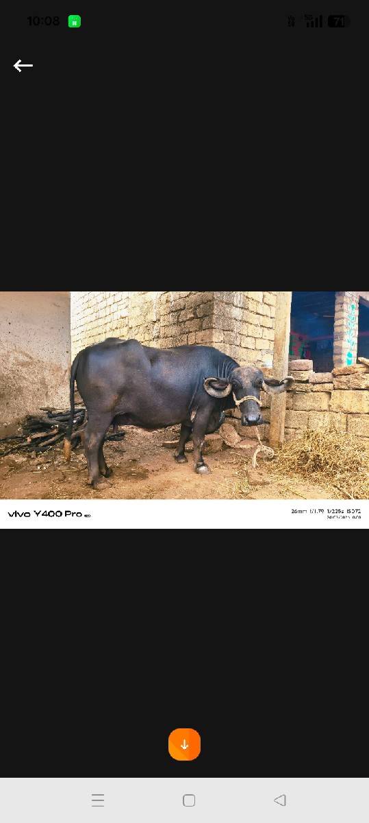 15 દિવસની વાર છે