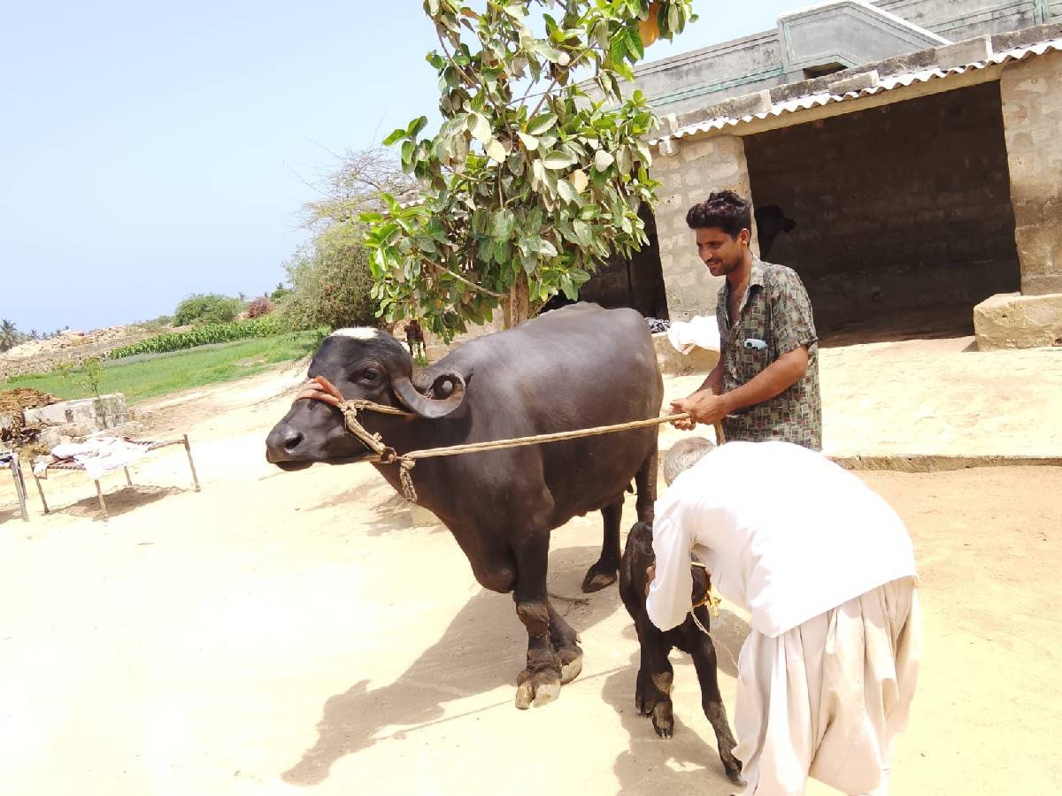બીજું વેતર વાણી