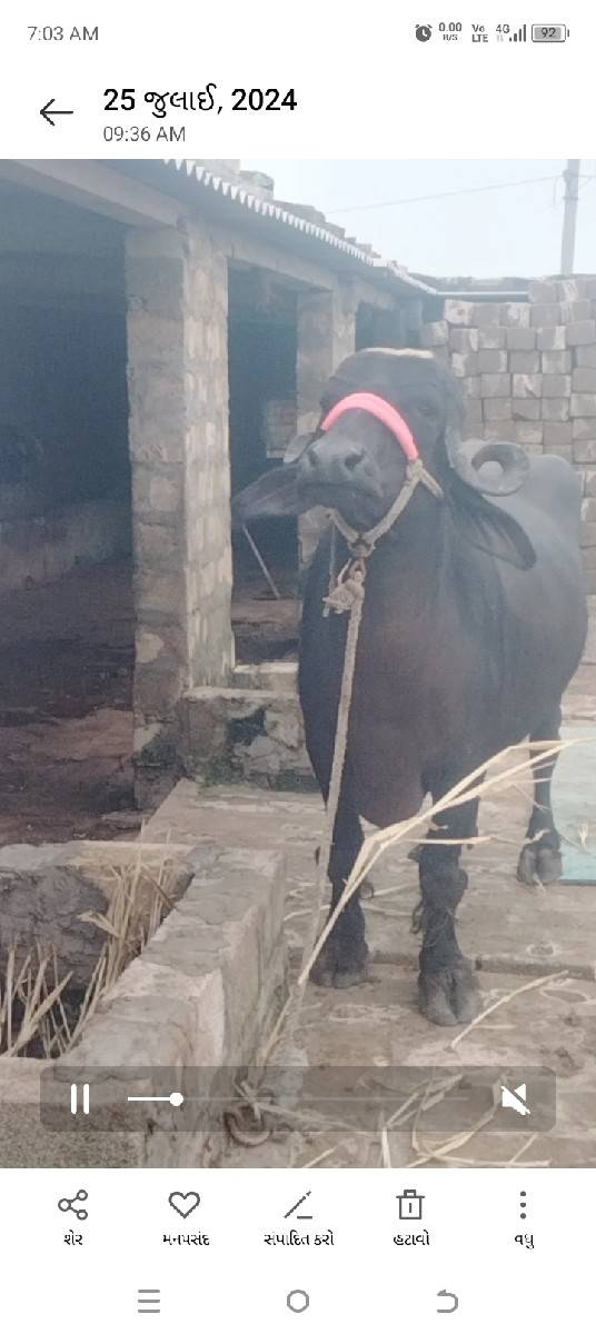 બીજું વેતર વાણી