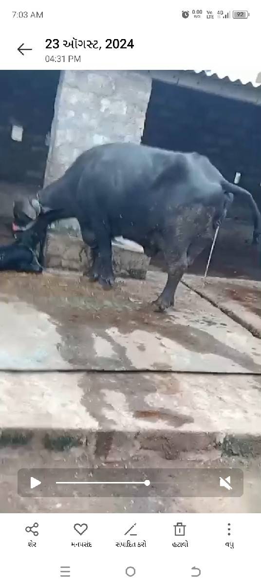 બીજું વેતર વાણી