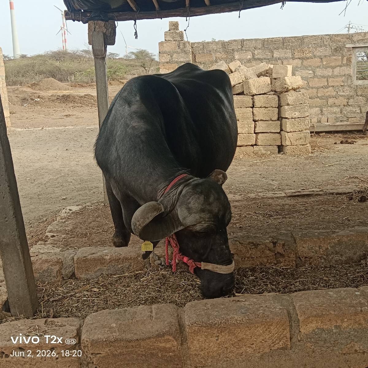 તીજું વેતર