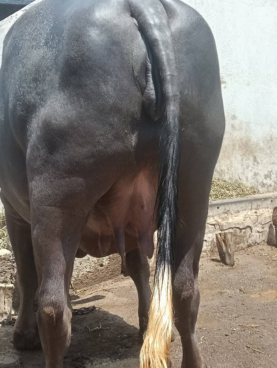 બેસવાની છે