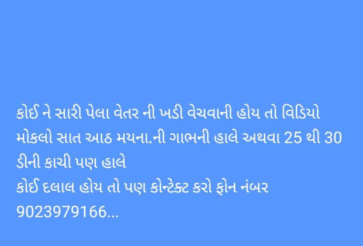 પેલું વેતર લેવી