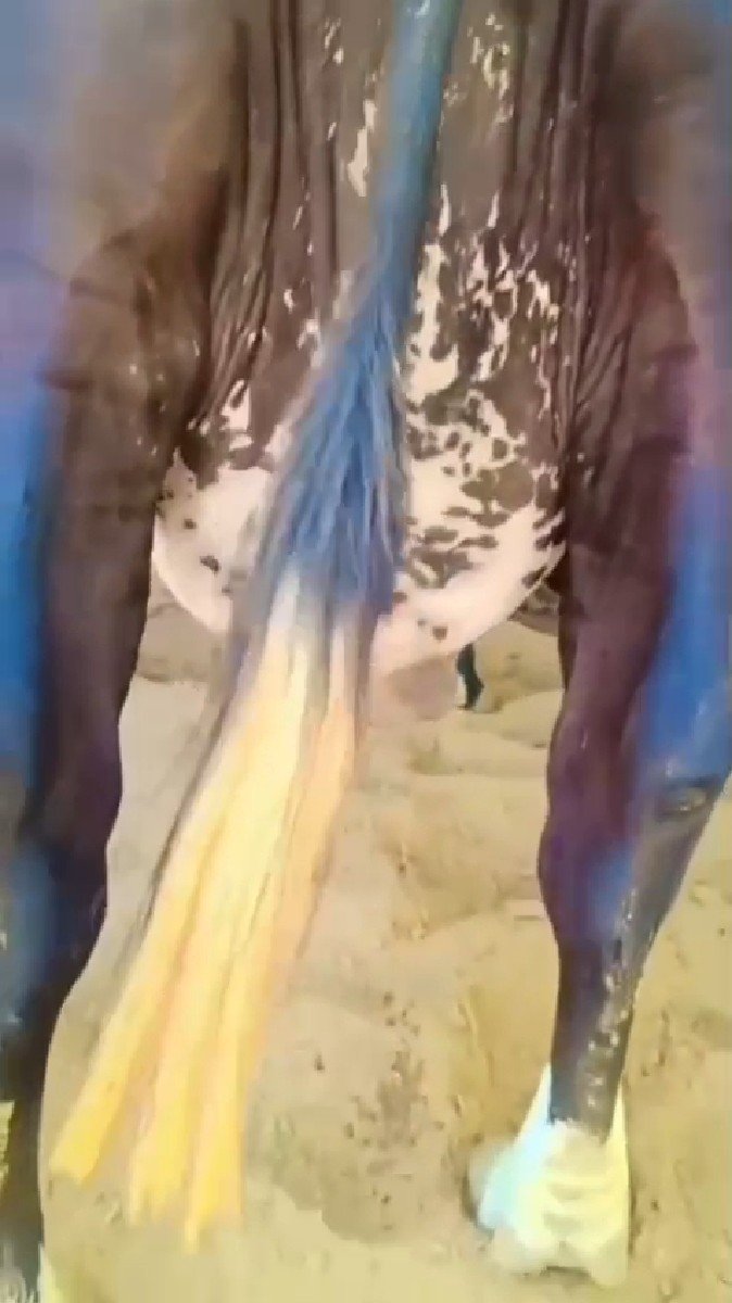 વેતર 2 
ફુલ ગેરંટી વાલી ગાય