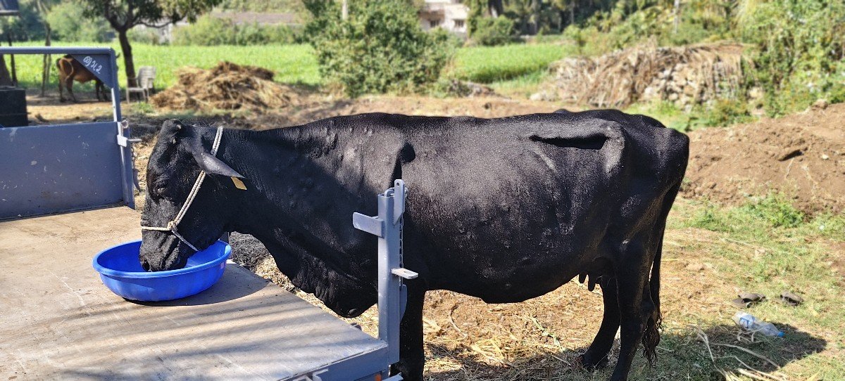 વેશવની