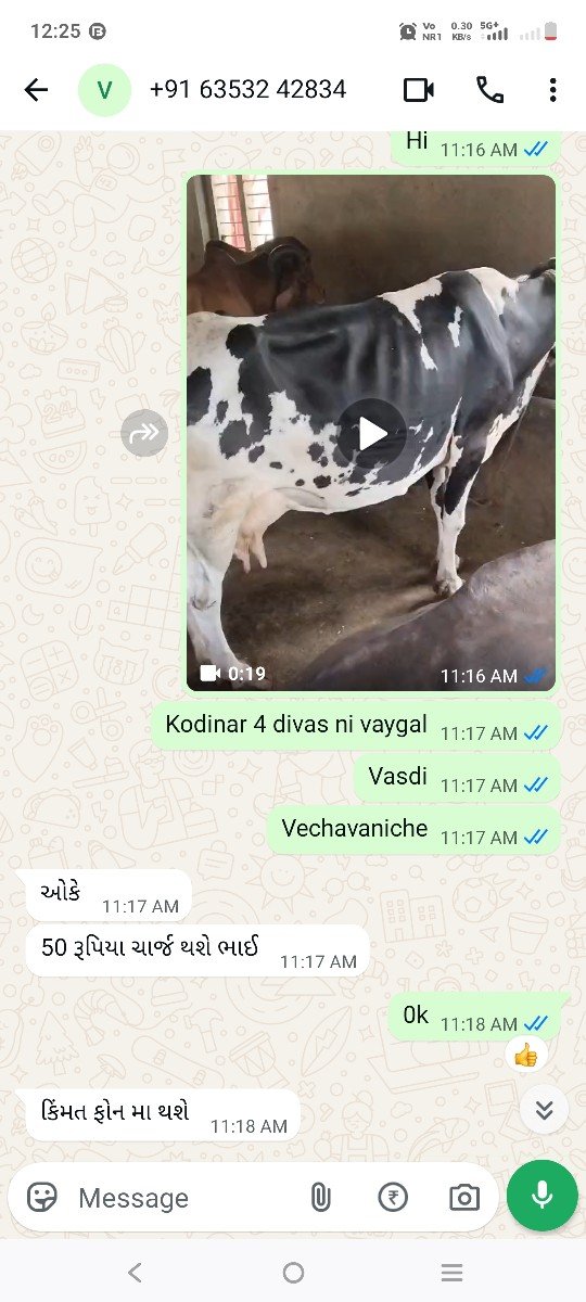 gay 2 ju vetar niche vaddi