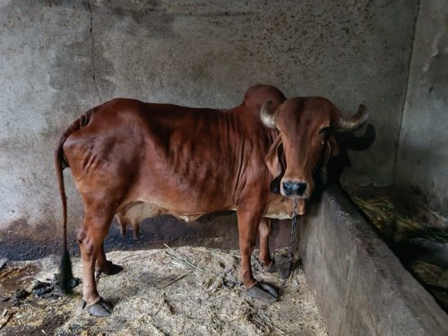 વેચવાની છે સવરાષ્ટ્ર નુ ઘરેણું