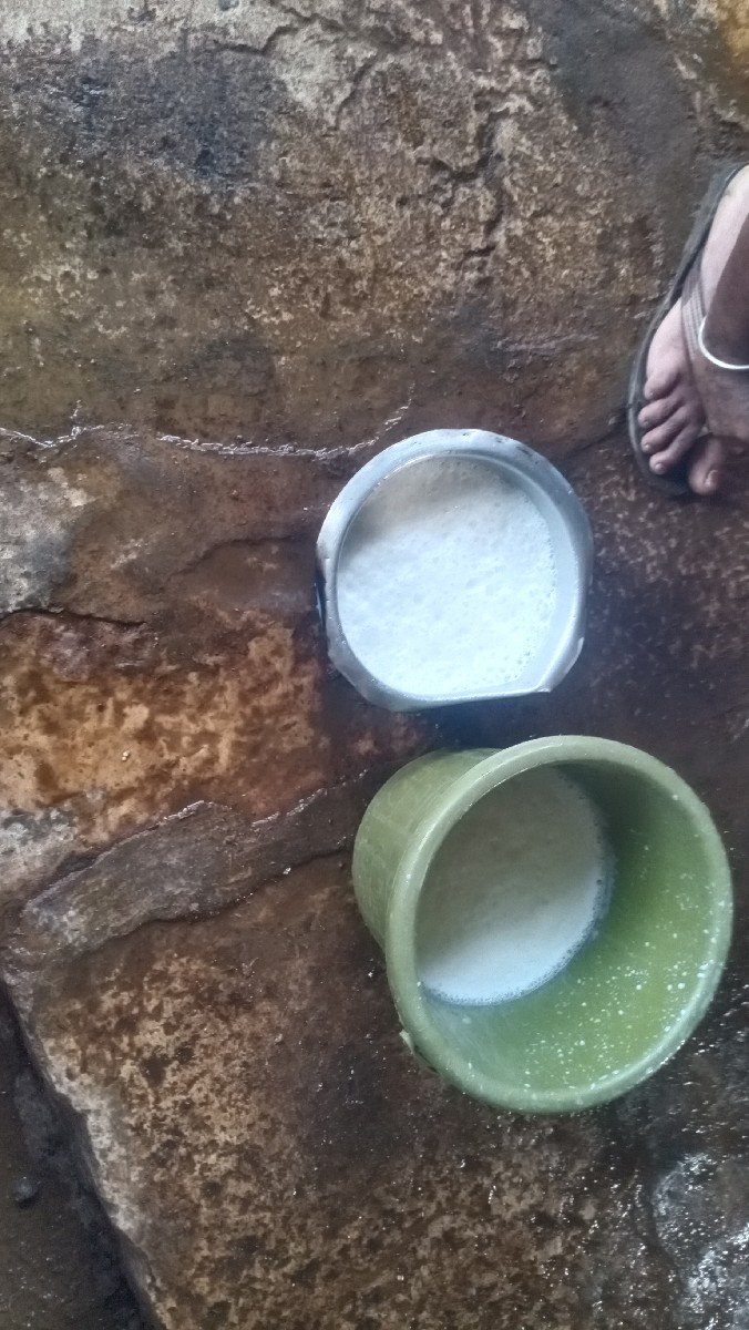 ગીર ગાય વેચવાની છે