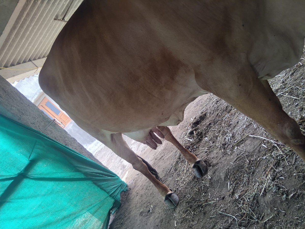 2 જૂ વેતર સે