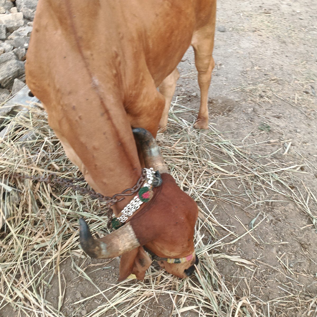 આવડતી વેચવાની છે પહેલું વેતન