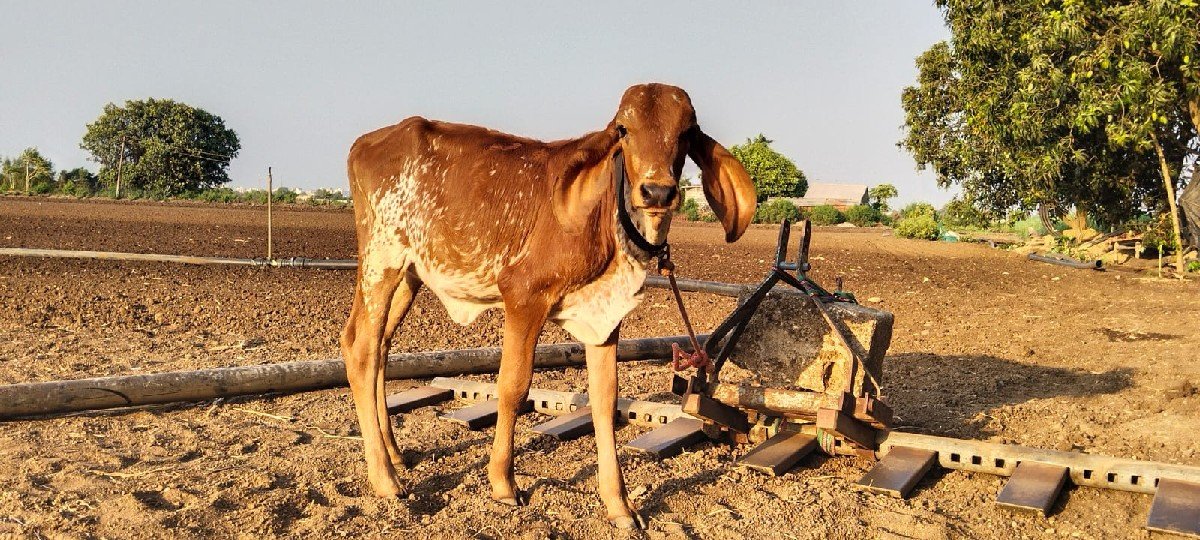 ૨૮....હજાર.ફિક્સ