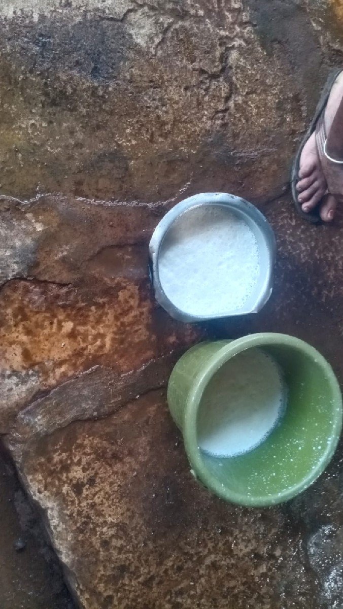 ગીર ગાય વેચવાની છે