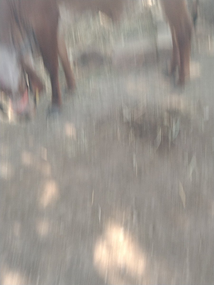 નાગાભાઈ