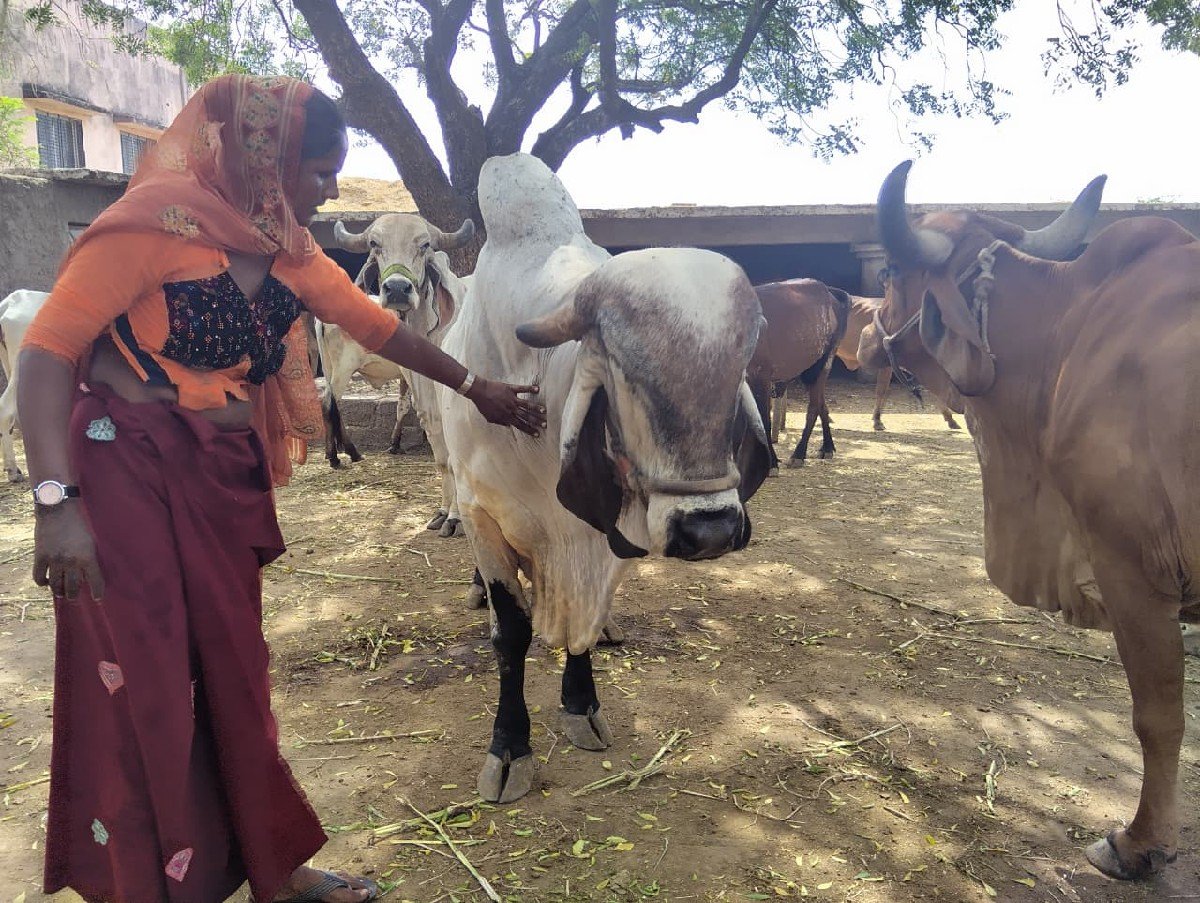વેચવાના
