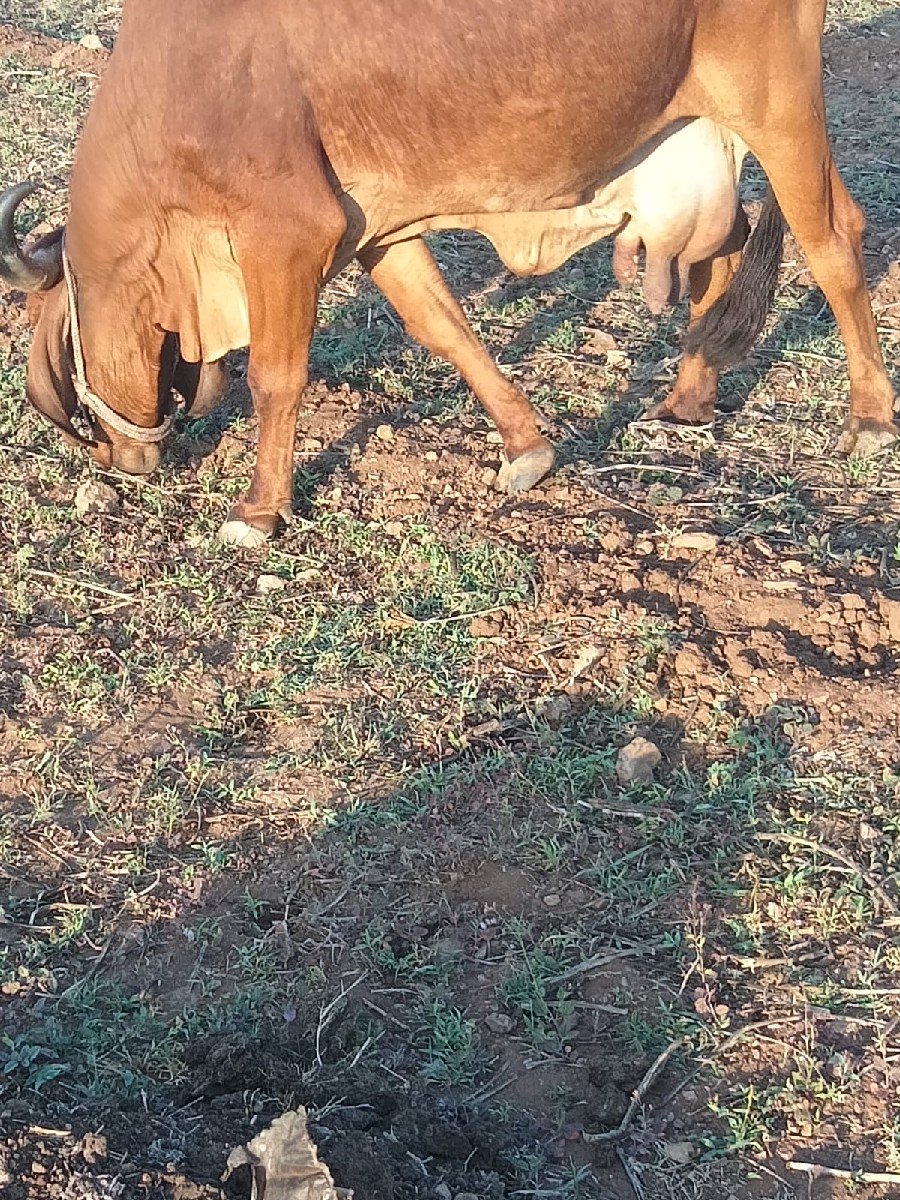 9274739740