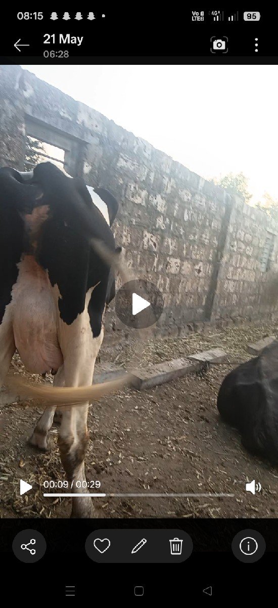 એચ એફ ફોર કે વેચવાની છે
