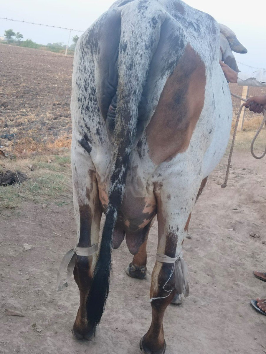 આ