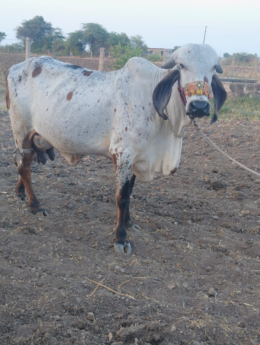 આ