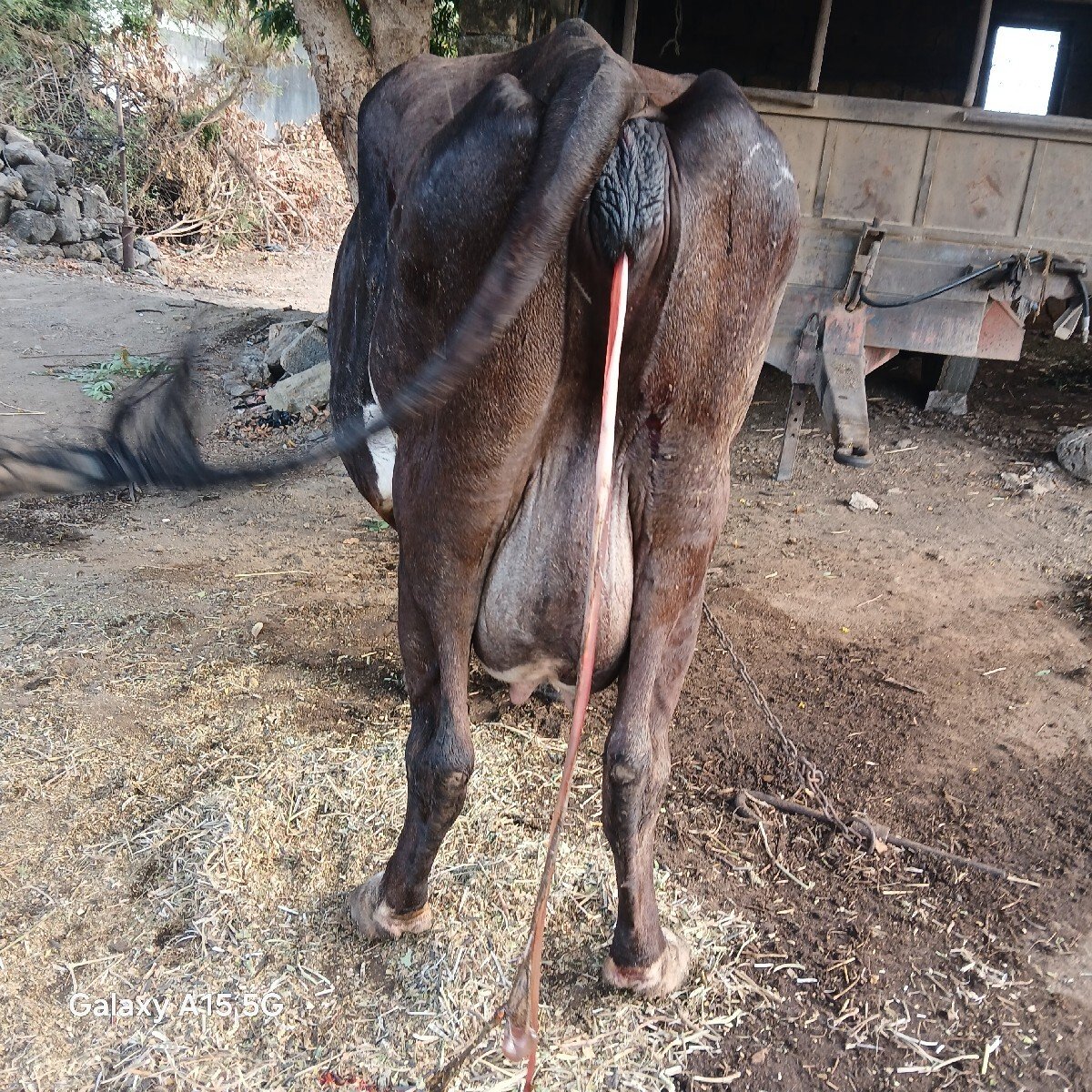 2  વેતર વયાની આજ જ