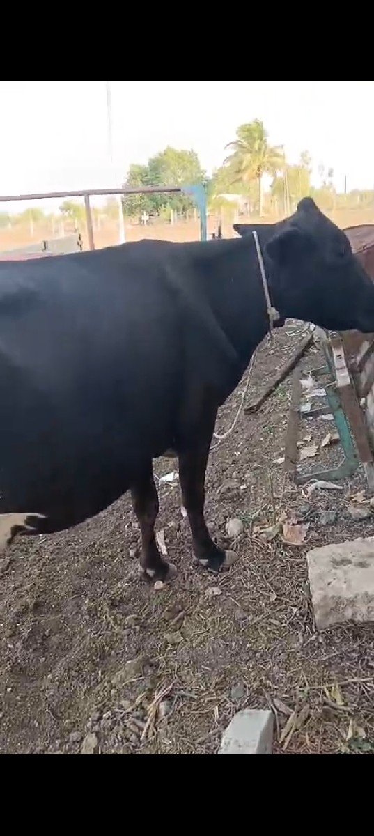 વેચવાની છે