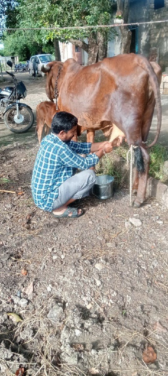 gay vechvani