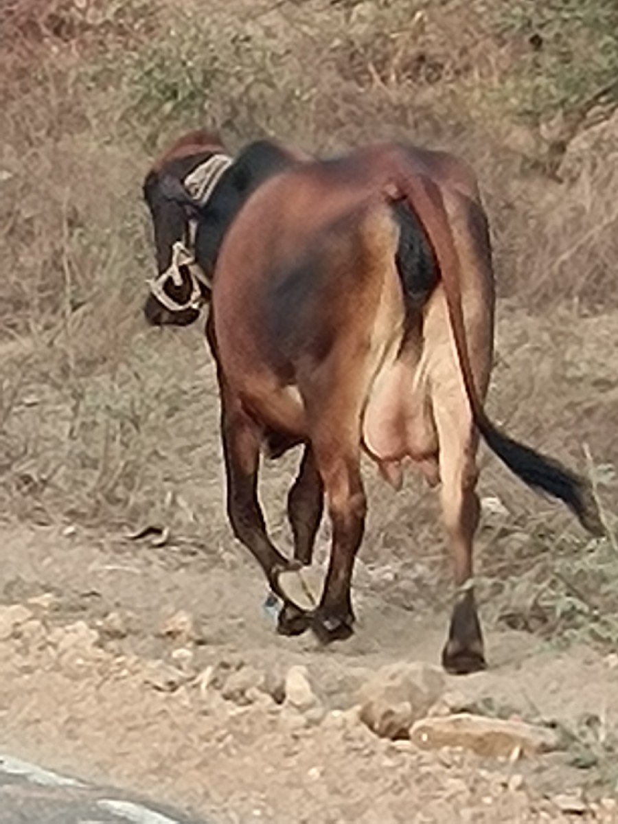 2 વેતર