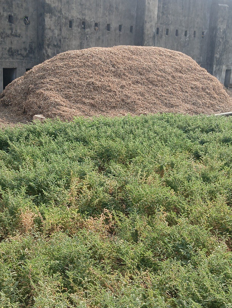 મગફળી નો ભૂકો વેચવાનો છે