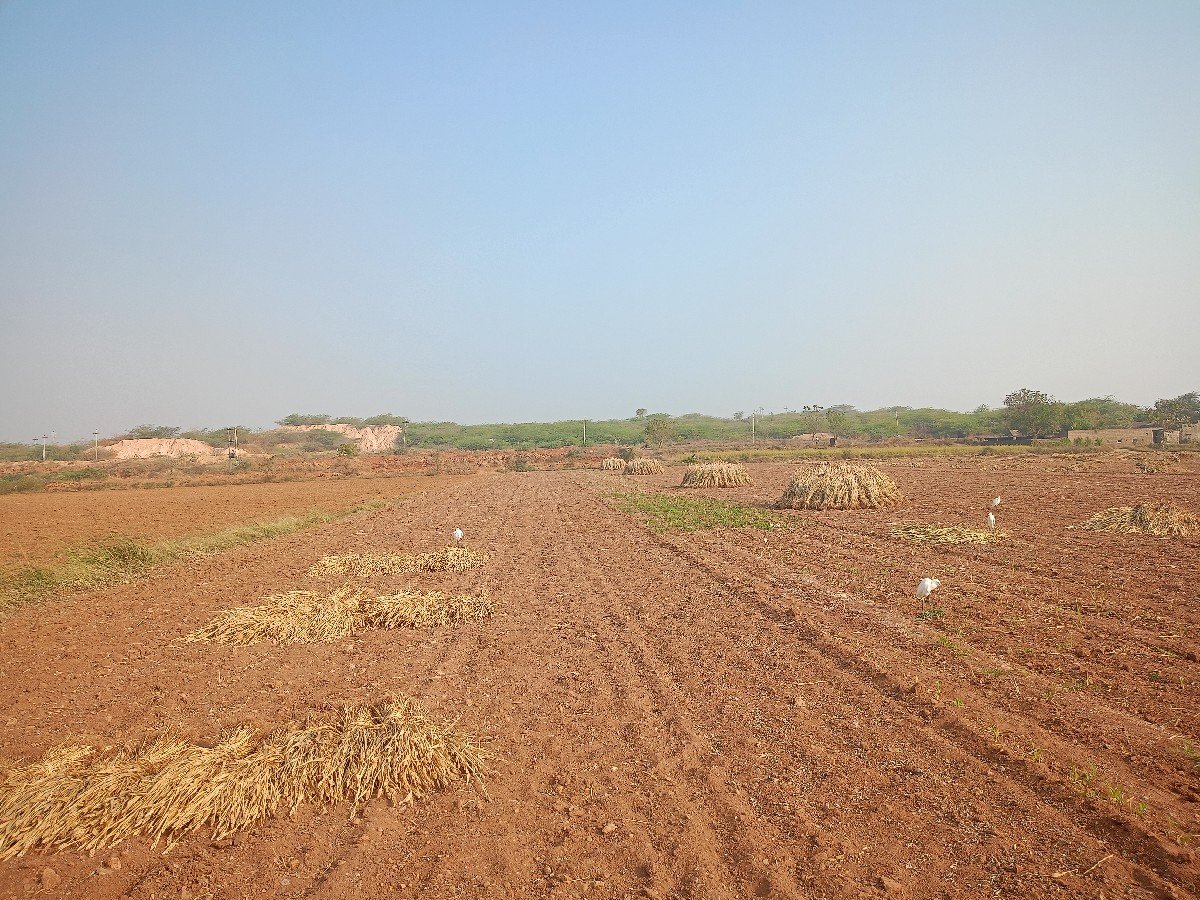 નીરણ વેચવાની છે