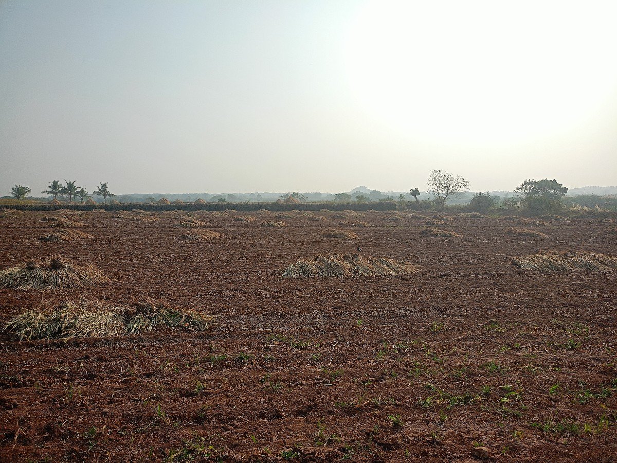 નીરણ વેચવાની છે