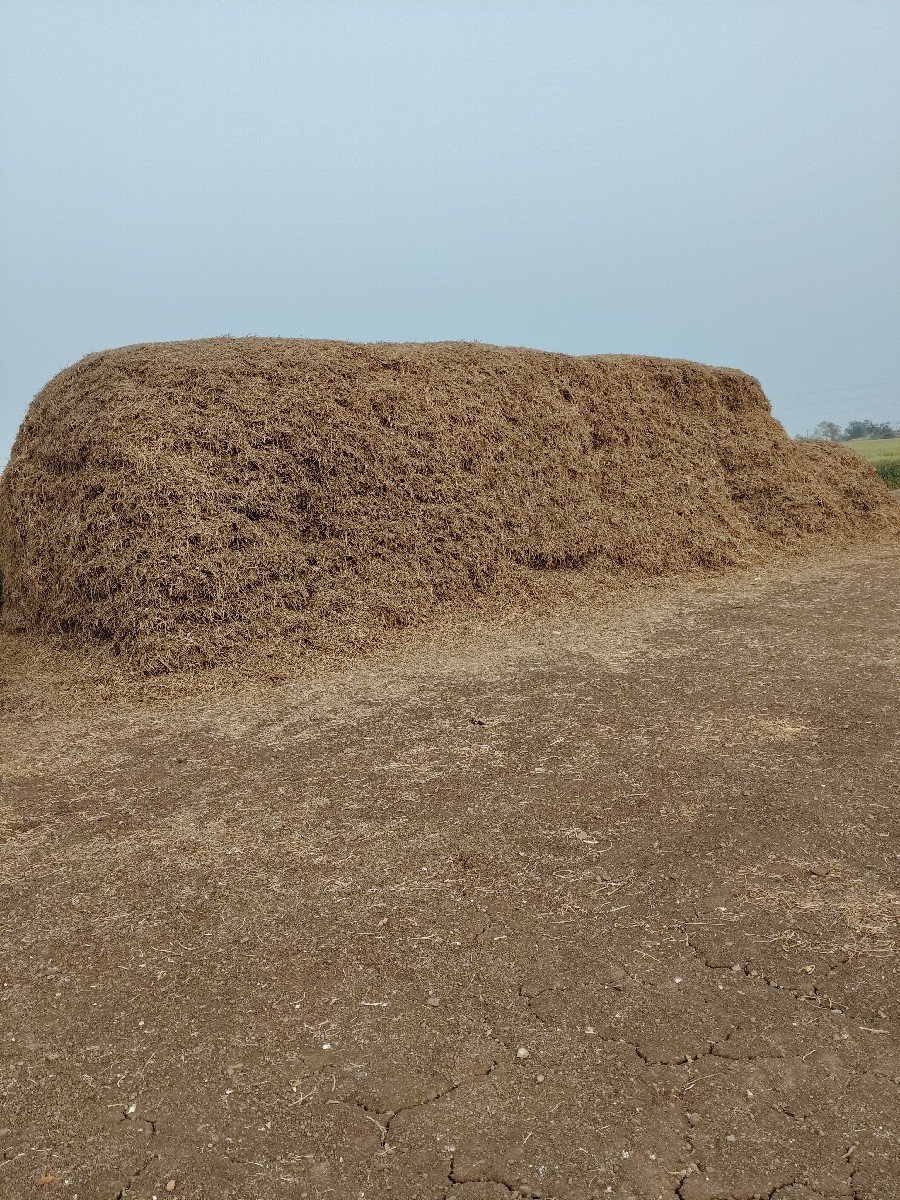માડવીનો ભુકો વેચવાનો છે