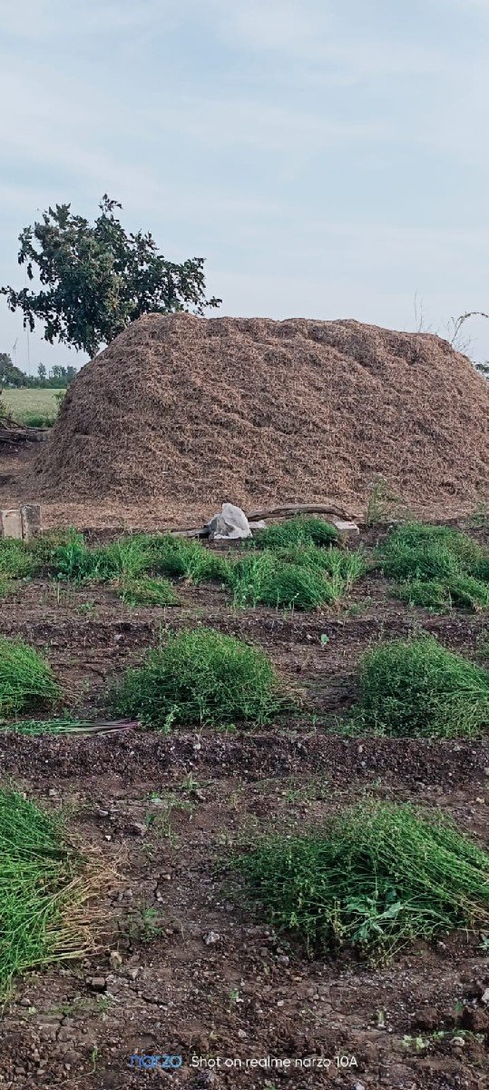 ૧૭વિઘાનો મગફળીનો પાલો વેચવાનો છે