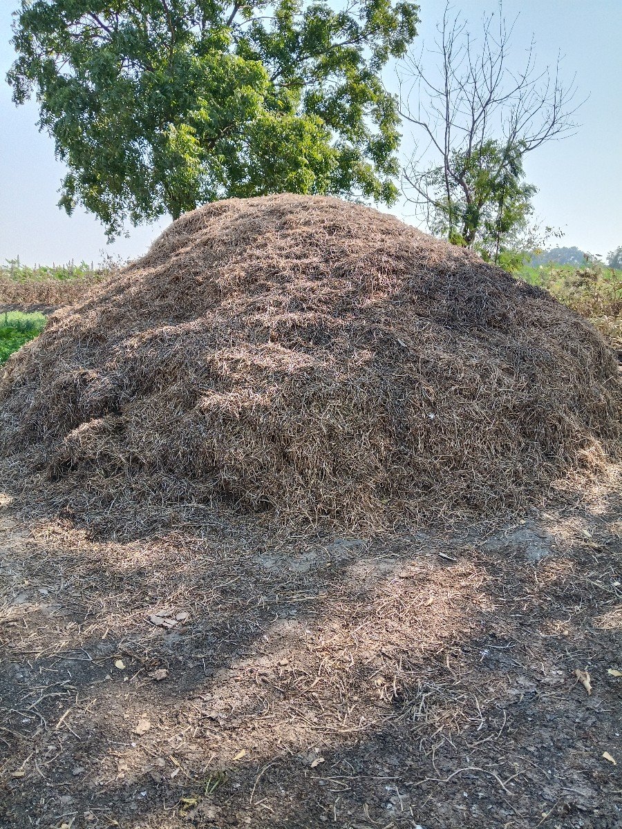 ભુકો વેચવાનો છે.