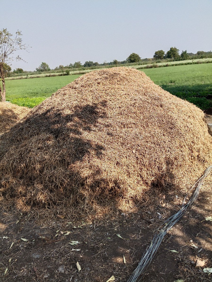 ભુકો વેચવાનો છે.