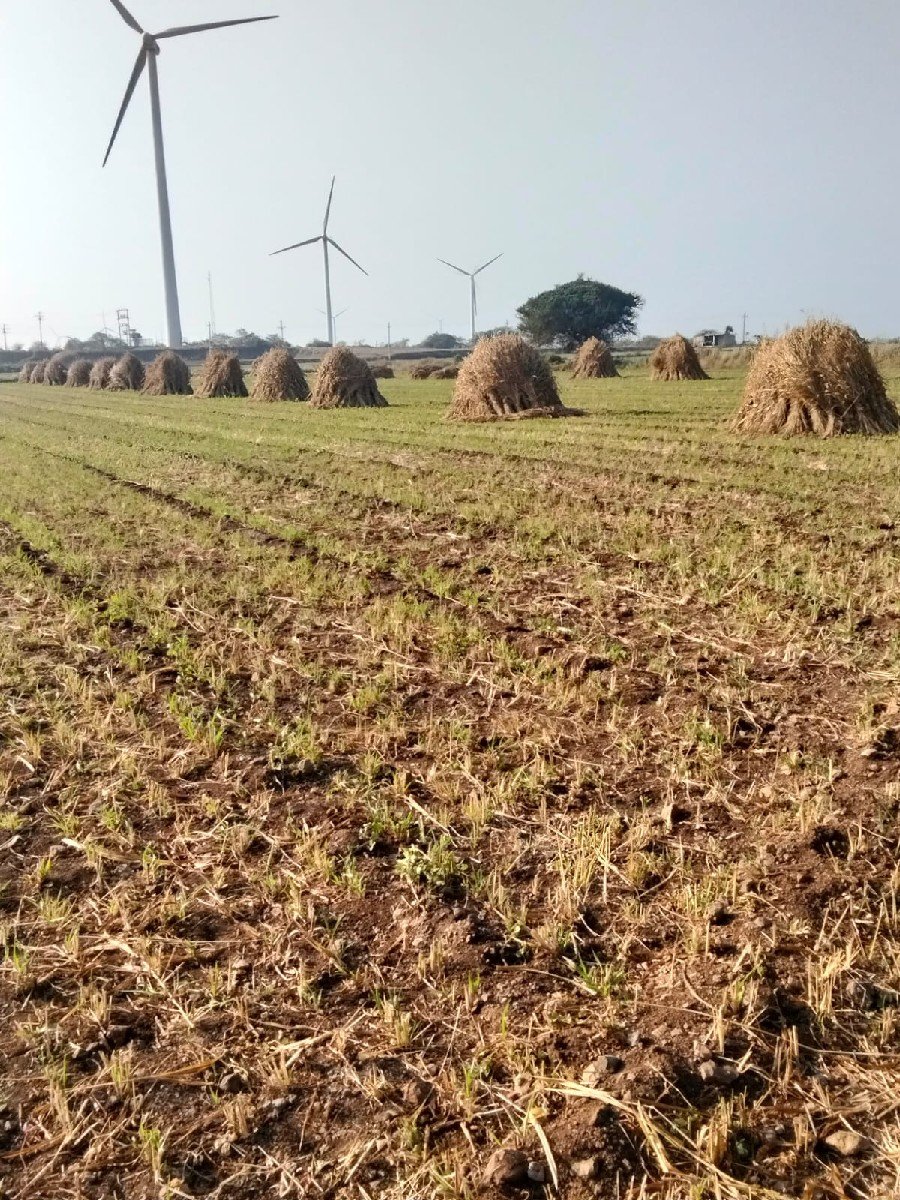 જુવાર વેચવાની છે