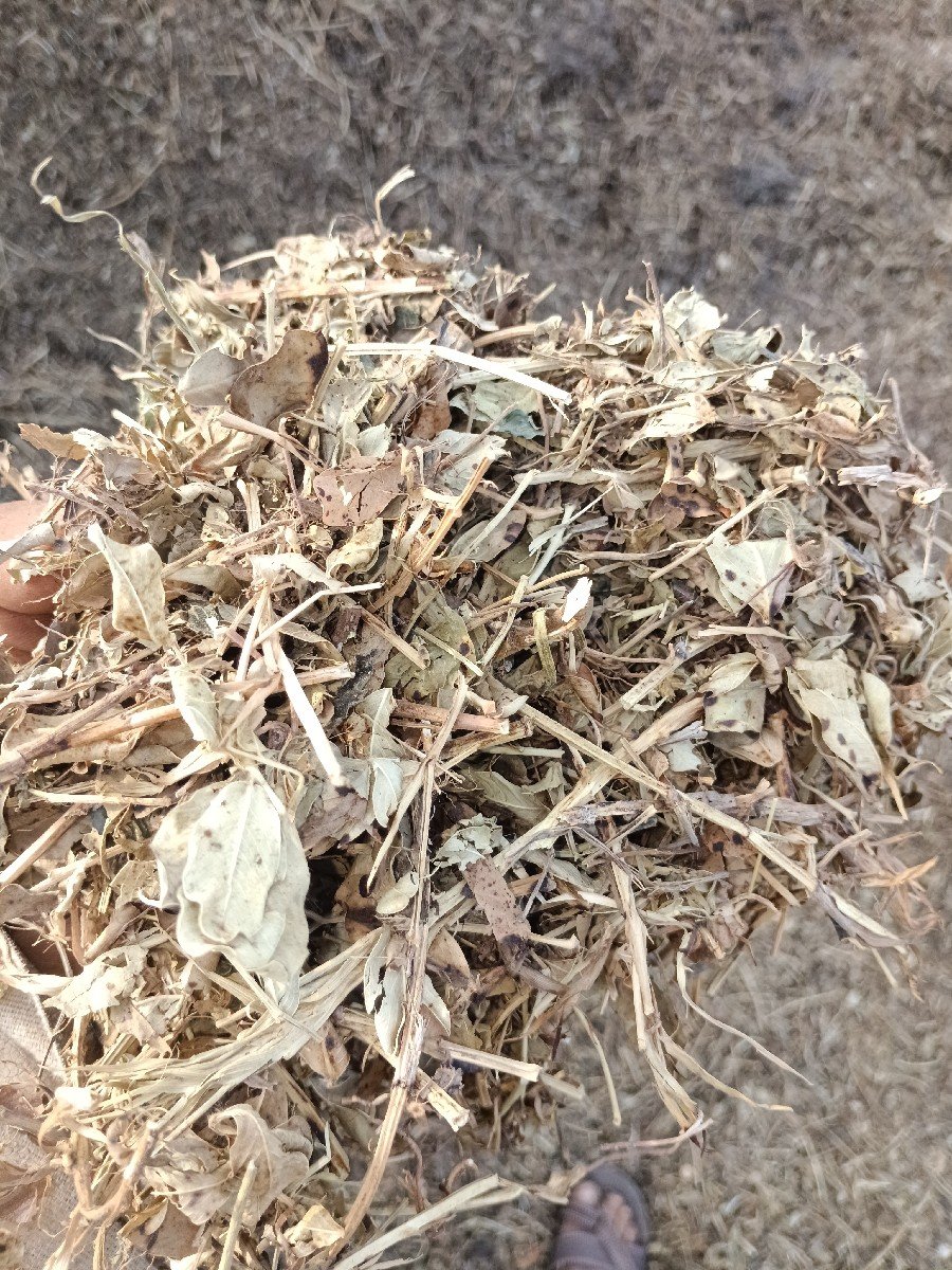 ભૂકો વેચવાનો છે
