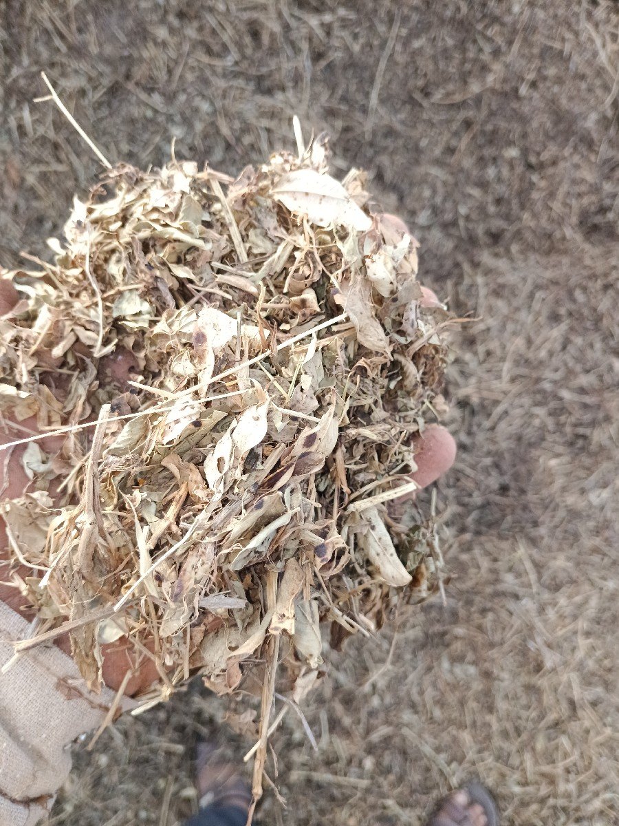 ભૂકો વેચવાનો છે