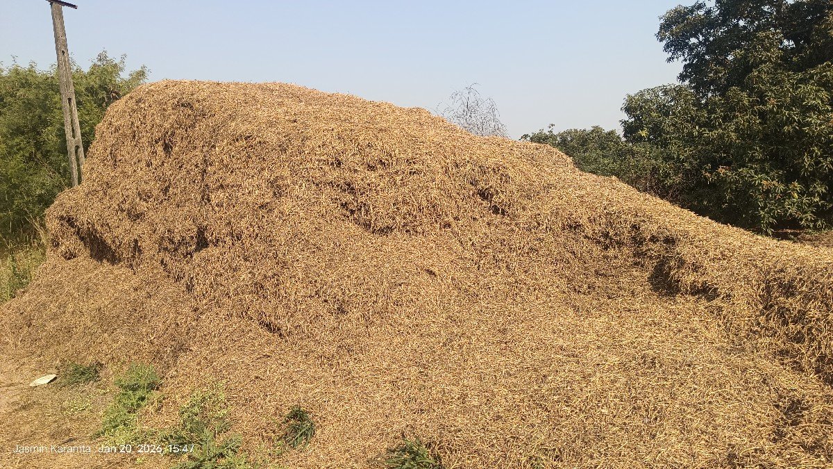 ભુકો વેચવાનો છે