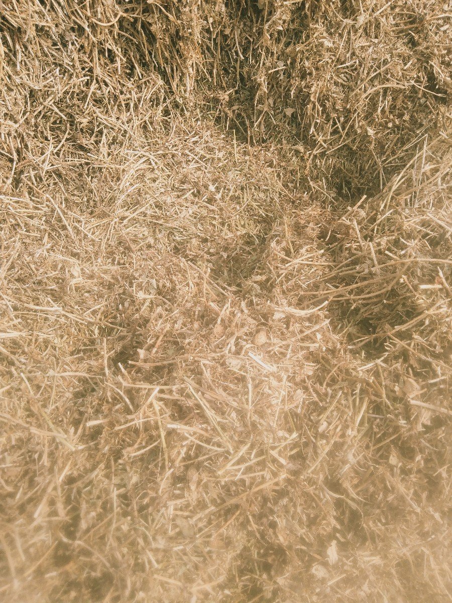 ૨૦નંબર માંડવી ભુકો વેચવા નો છે
