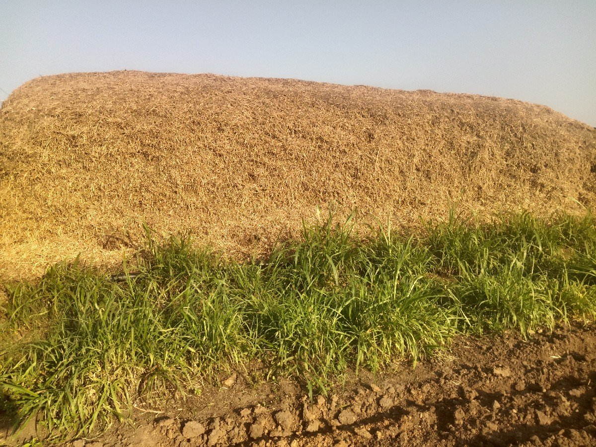 મગફળીનો પાલો વેચવાનો છે