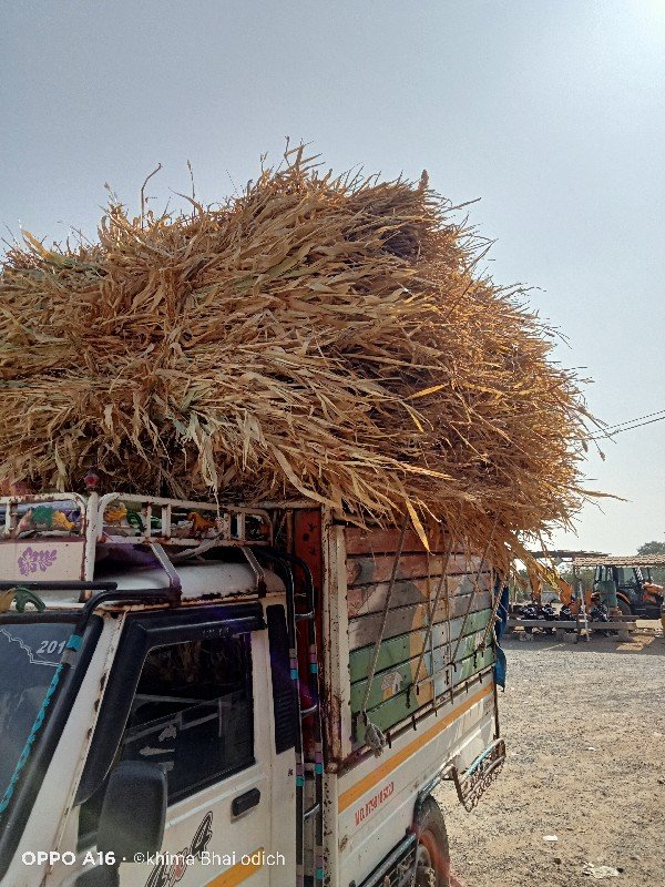 નીરણ ભૂકોલેવેચ જામનગર પોચનાભાવ=