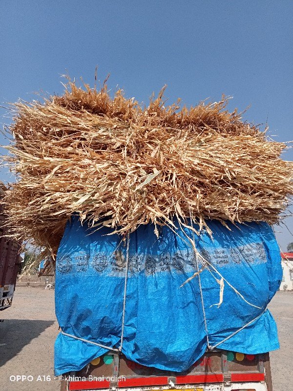 નીરણ ભૂકોલેવેચ જામનગર પોચનાભાવ=