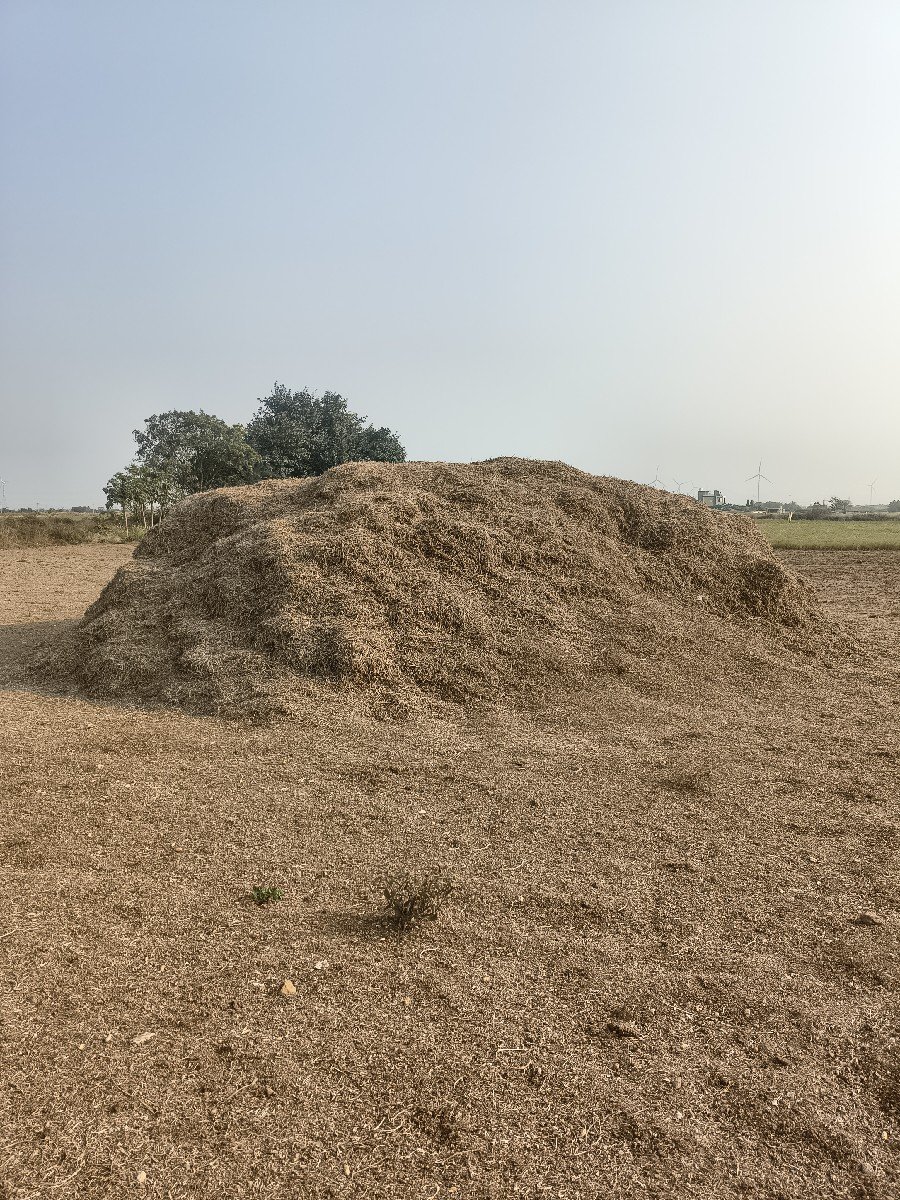 ભૂકો (પાલો) વેચવાનો છે