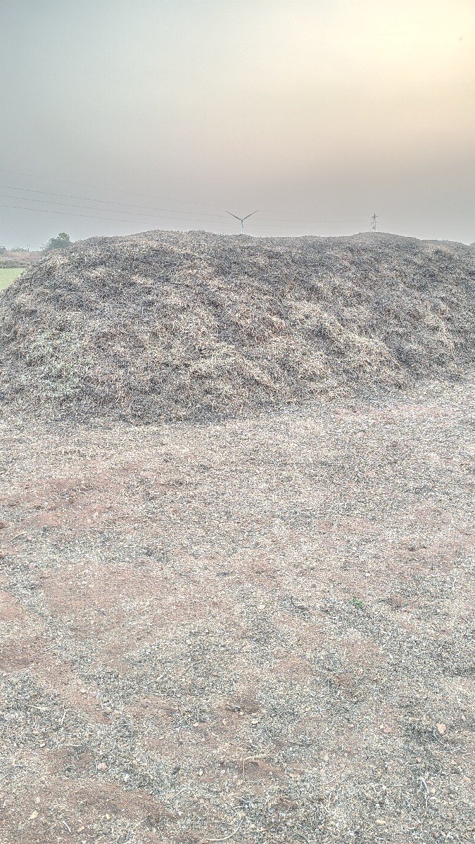 ભૂકો (પાલો) વેચવાનો છે
