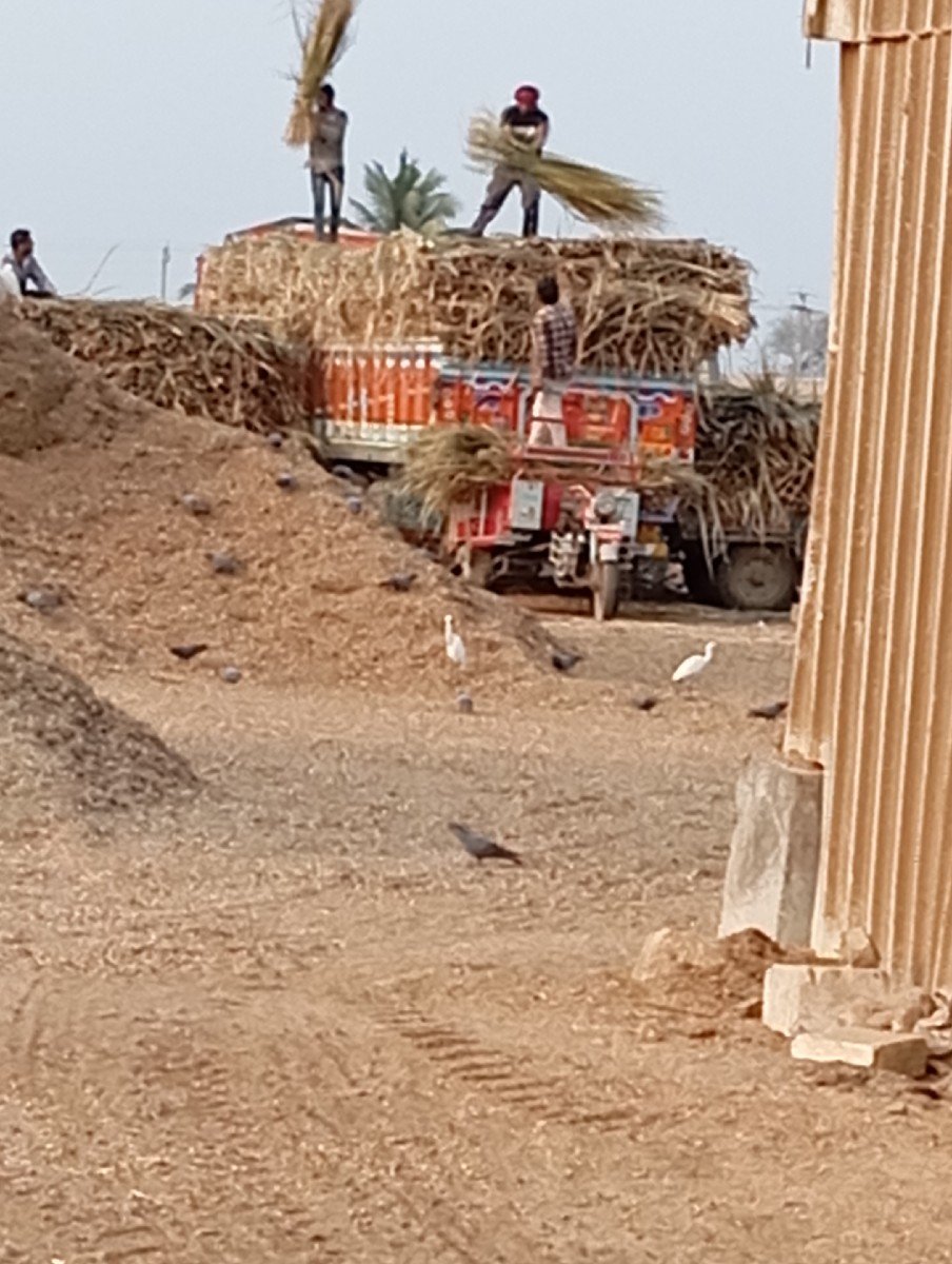 આગરા વેચવાના છે